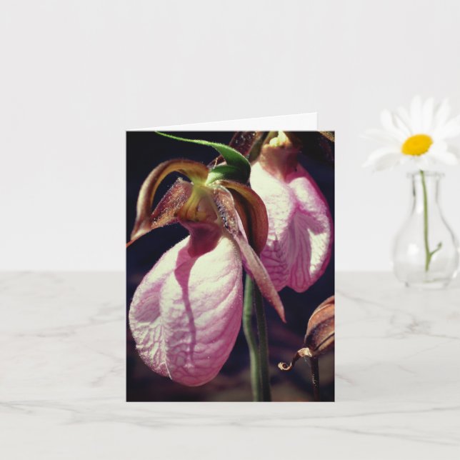 Carte Sauvage Lady Slipper Orchidées Fleur personnalisée (Petite plante)