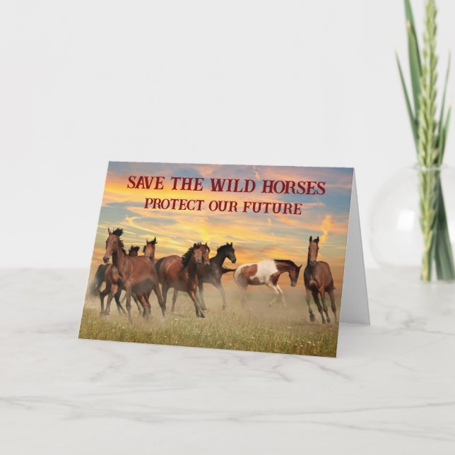 Carte Sauvez Les Chevaux Sauvages (Devant)