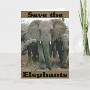 Carte Sauvez les éléphants