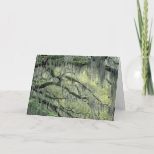 Carte Savannah, Géorgie, chêne vivant drapé de