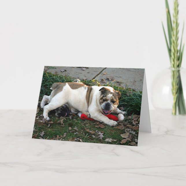 Carte Say Mercy! (Devant)