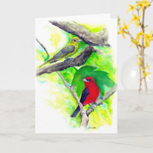 Carte Scarlet Tanagers Oiseaux Aquarelle Peinture