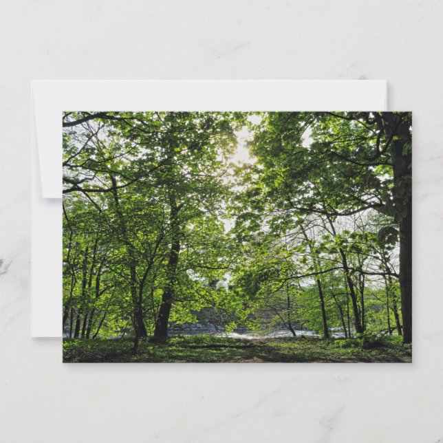 Carte Scène De Bois. Blackweir Woods, Cardiff (Devant)