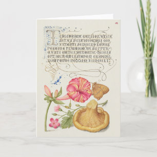 Carte Scène de jardin avec fleurs, papillon et champigno