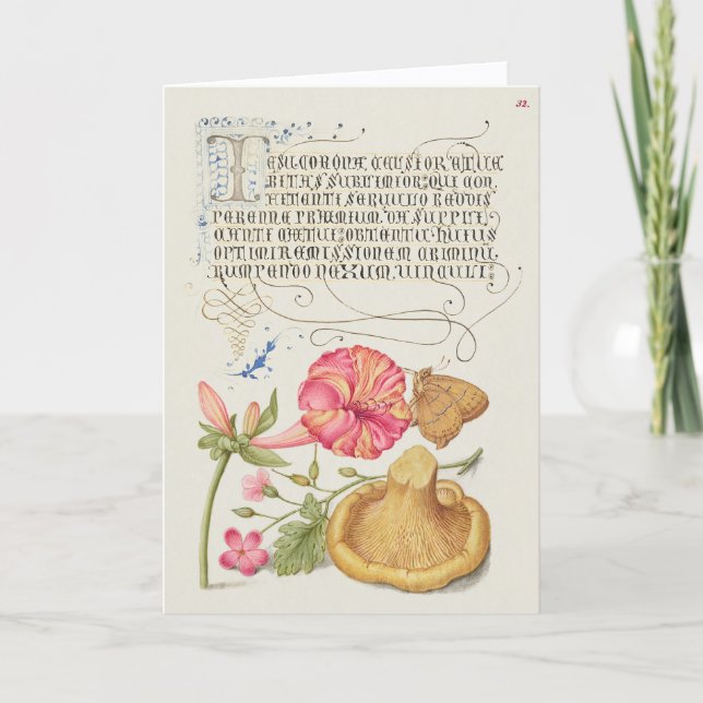 Carte Scène de jardin avec fleurs, papillon et champigno (Devant)
