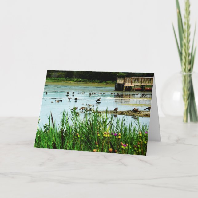 Carte Scène du lac avec des canards à queue et un quai (Devant)