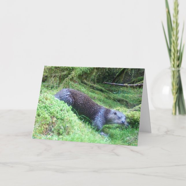Carte Scène Naturelle de Faune de Rivière Paisible de Lo (Devant)