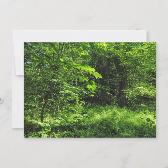Carte Scène Woodland (Devant)