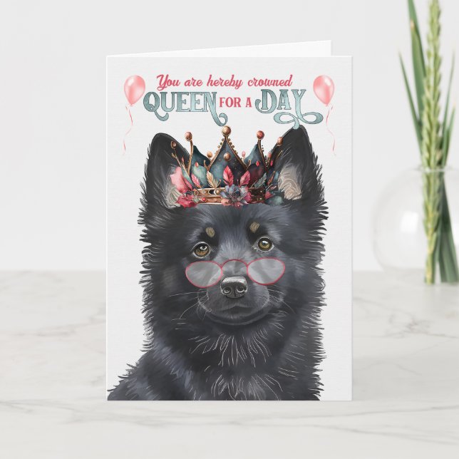 Carte Schipperke Chien Reine Jour drôle Anniversaire (Devant)