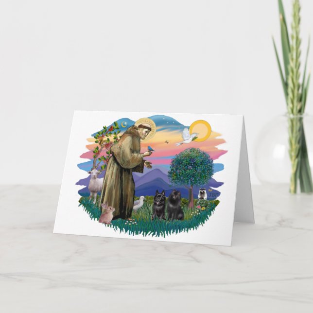 Carte Schipperke (deux) (Devant)