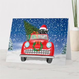 Carte Schnauzer Conduisant une Voiture dans la Neige Noë