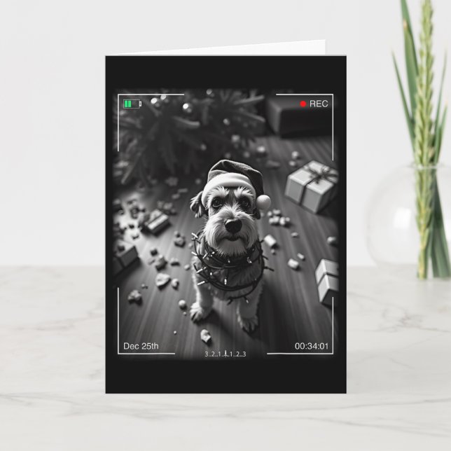Carte Schnauzer de Noël pris en photo  (Devant)