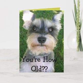 Carte Schnauzer Happy Anniversaire
