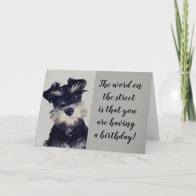 CARTE SCHNAUZER N'ARRIVE PAS À CROIRE LA NOUVELLE **50?* (Devant)