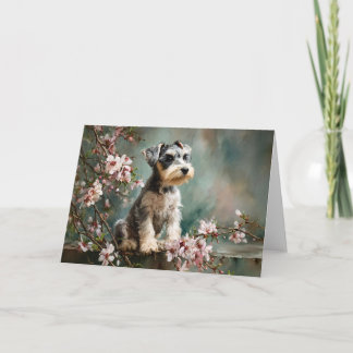 Carte Schnauzer Puppy Among Spring Cherry Blossoms