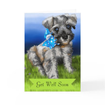 Schnauzer Puppy avec Get Well Bientôt