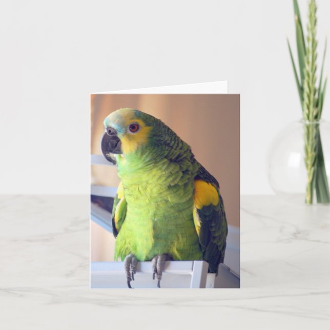 Carte scooter (Devant)