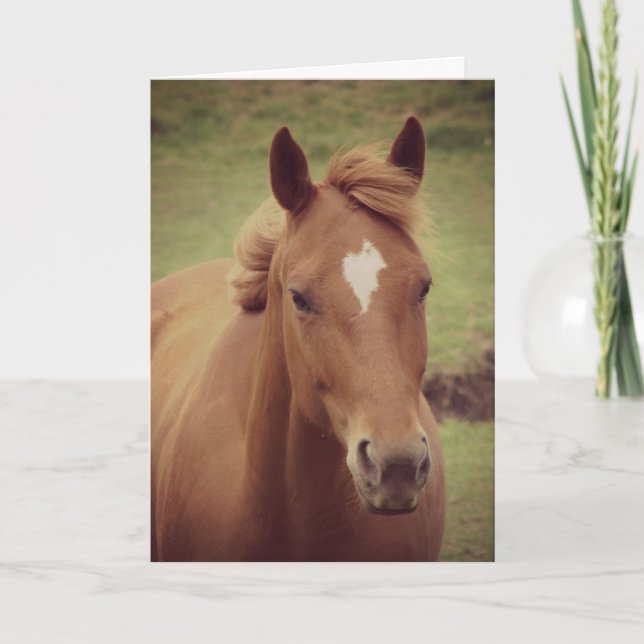 Carte Scotch A Horse, Anniversaire (Devant)