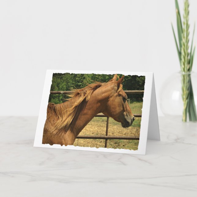 Carte Scotch, Anniversaire (Devant)