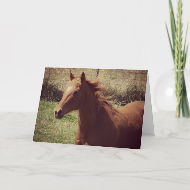 Carte Scotch in Motion toutes les occasions (Devant)