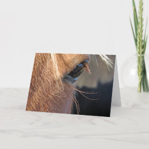 Carte Scotch the Horse Eye Closeup Toutes les occasions