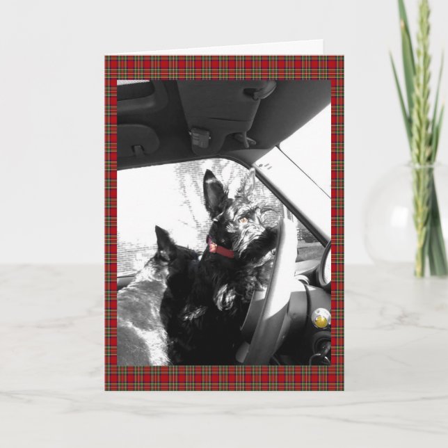 Carte Scottie (Devant)