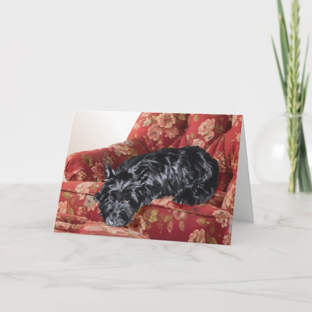 Carte Scottie dans un grand fauteuil rouge (Devant)