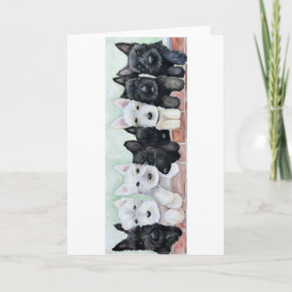 Carte Scottie Puppies