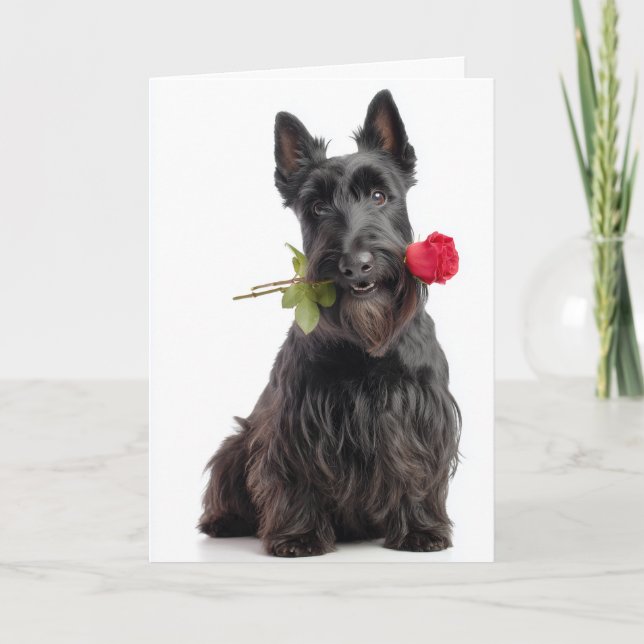 Carte Scottie Valentine – Amour et loyauté inébranlables (Devant)