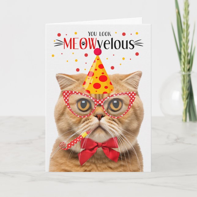 Carte Scottish Fold Orange Cat MEOWvelous Anniversaire (Devant)