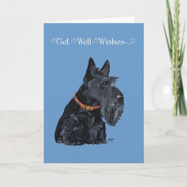 Carte Scottish Terrier Get Well Card (Devant)