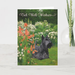 Carte Scottish Terrier Get Well Wishes