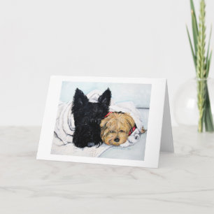 Carte Scottish Terrier & Yorkie Meilleurs amis