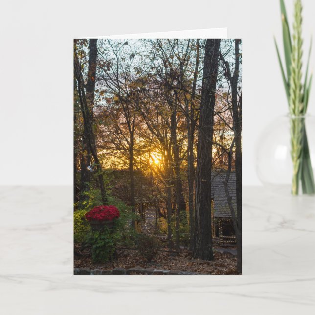 Carte Sdc Woods Sunset (Devant)