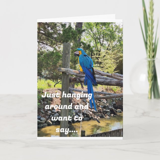 CARTE SE DÉBARRASSER ET VOULEZ DIRE HEUREUX ANNIVERSAIRE (Devant)