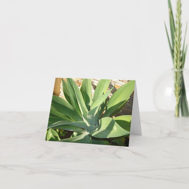 Carte Se prélasser du soleil (Devant)