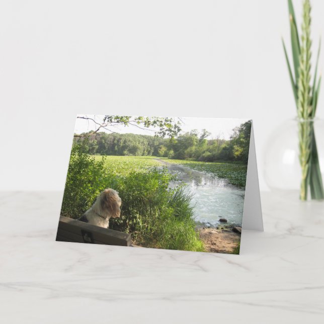 Carte se reflétante d'Emma (Devant)