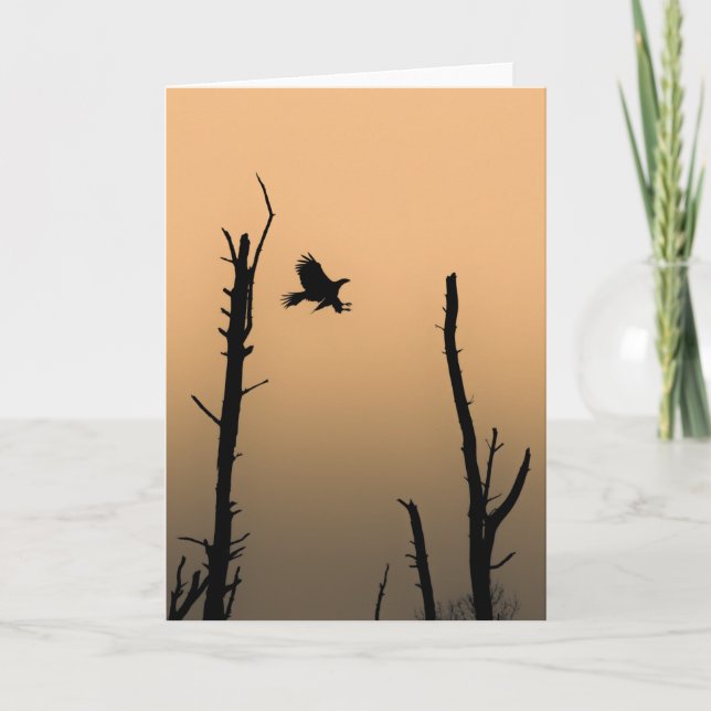 Carte Sea Eagle Wildlife Photo (Devant)