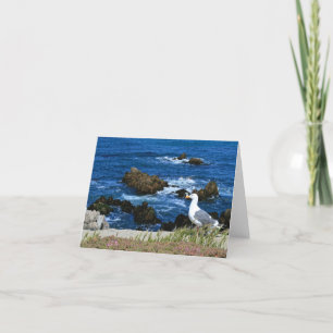 Carte Sea Gull on Pacific Coast, Blank Note Card