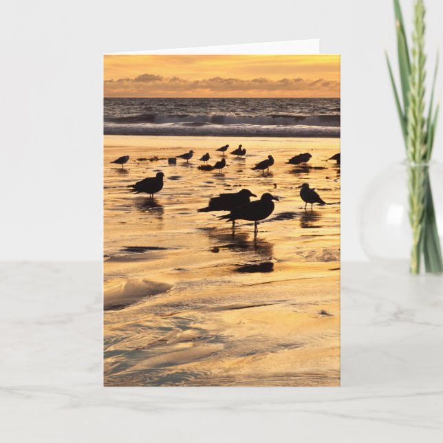 Carte Sea Gulls On Beach At Sunset (Devant)