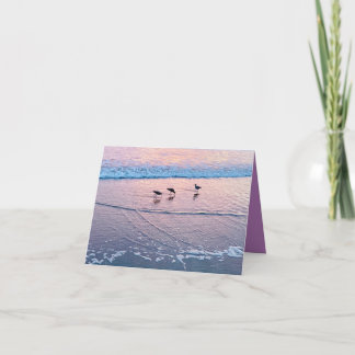 Carte Seabirds at Twilight