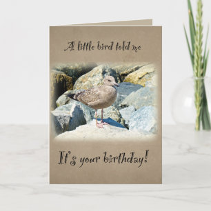 Carte Seagull anniversaire