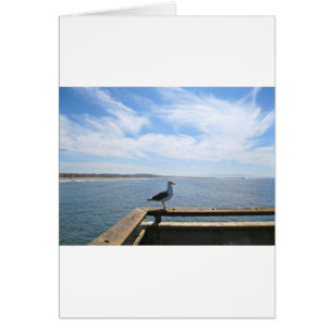 Carte Seagull pittoresque