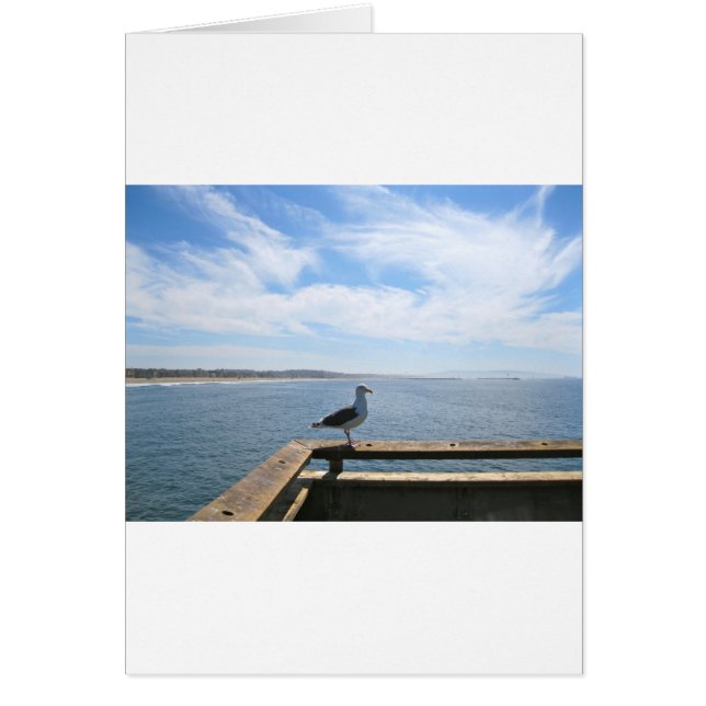 Carte Seagull pittoresque (Devant)
