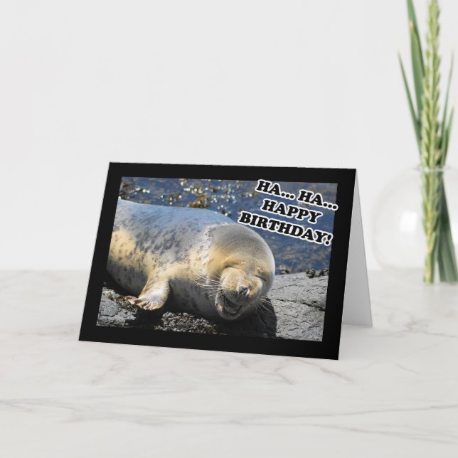 Carte Seal Laughing Ha Ha Joyeux anniversaire (Devant)