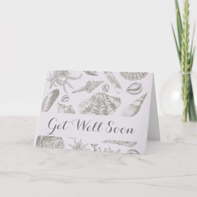 Carte Seashell Soft Antique Art Beach Shops (Devant)