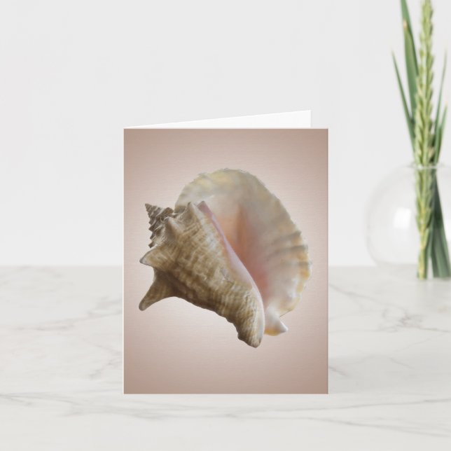 Carte Seashelll Note Card (Devant)