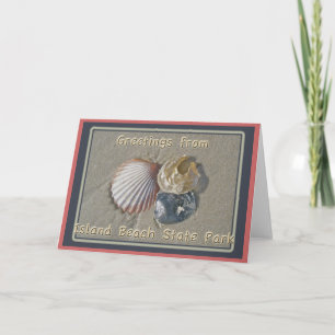Carte Seashings Salutations De IBSP Seaside Park NJ