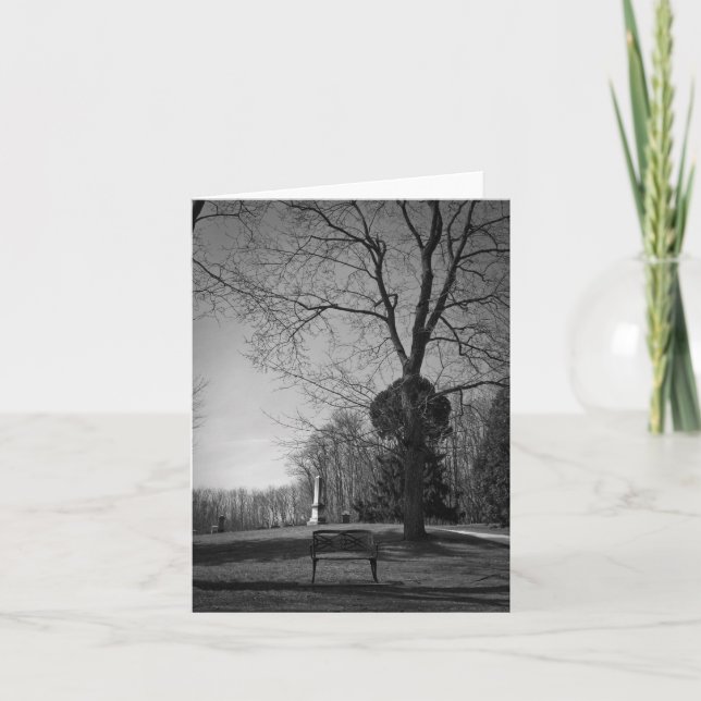 Carte Seat vide (Devant)