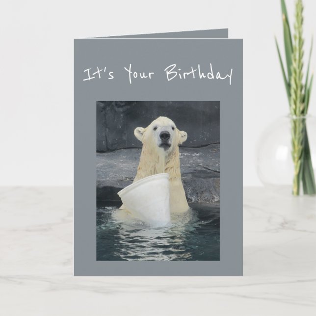 Carte Seau d'ours blanc d'anniversaire d'humour (Devant)